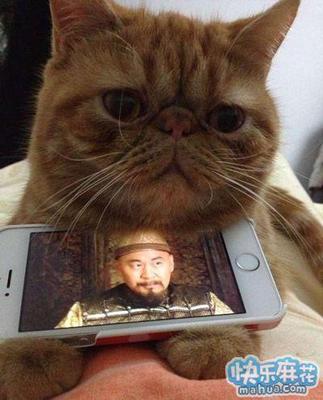 最新產品,加菲貓手機座 圖片_hao123網址導航