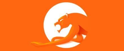 被低估的獵豹:從夾縫求生、側翼突圍到追求理想