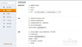 獵豹瀏覽器自定義主頁 自定義 網址導航