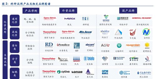 生命科學上游,科研產品圖譜 生物研發包羅萬象,國產化進程加速
